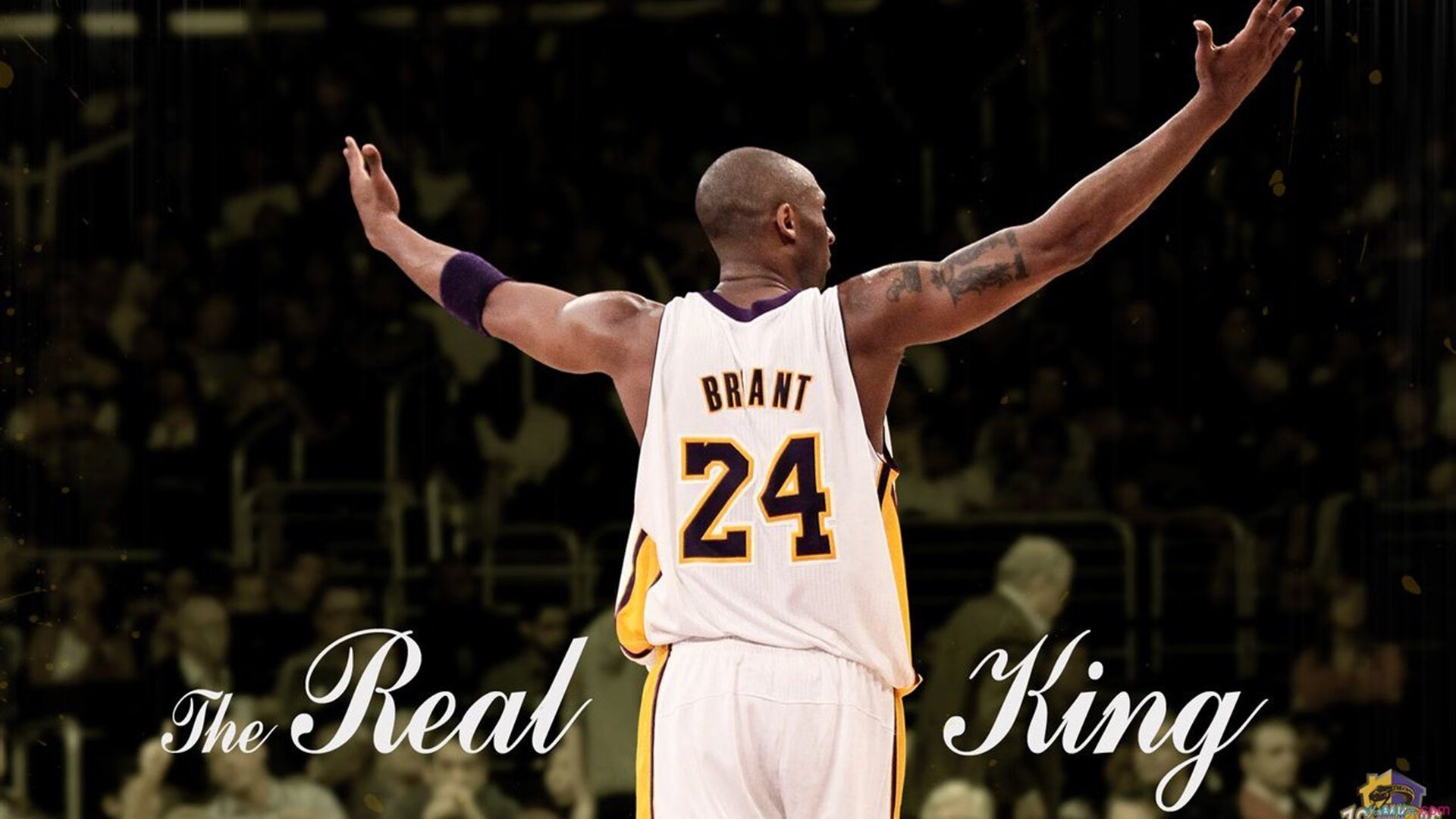 《堡垒之夜》联动明星方案火爆登场,粉丝热潮持续,堡垒之夜的联动